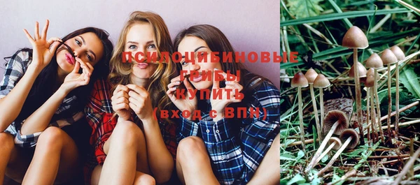 2c-b Нефтегорск
