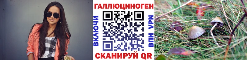 Псилоцибиновые грибы Magic Shrooms  это официальный сайт  Сорочинск 
